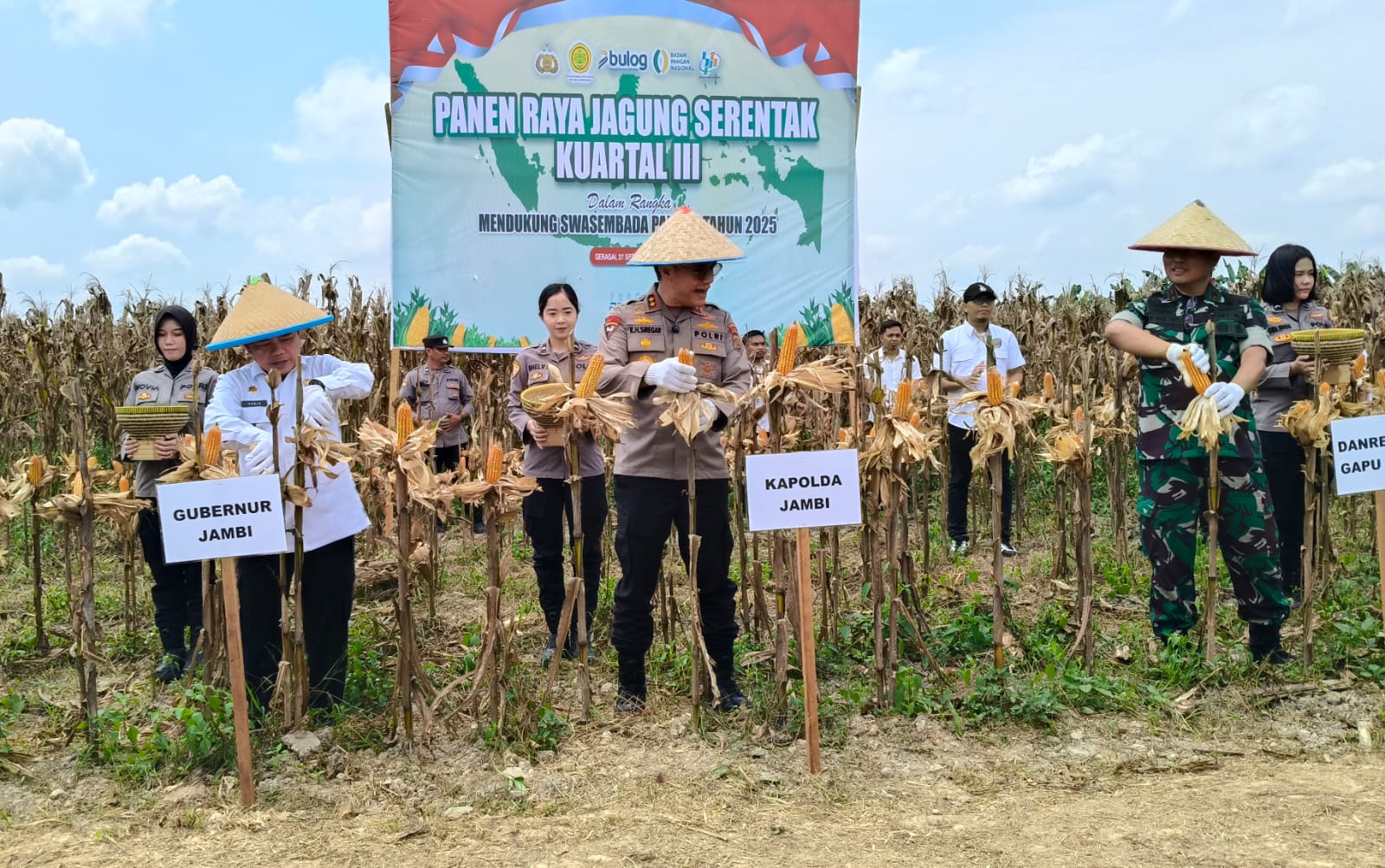 Bersama Kapolda Jambi, Gubernur Al Haris Lakukan Panen Raya Jagung di Geragai Tanjab Timur