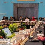 Bersama Komisi II DPR RI, Gubernur Al Haris Bahas Penguatan BUMD dan Tata Ruang