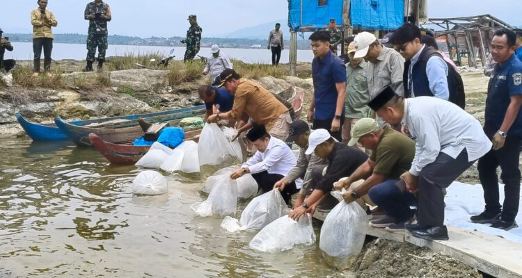 Gubernur Al Haris Tabur Puluhan Ribu Benih Ikan di Danau Kerinci dan Batang Merao